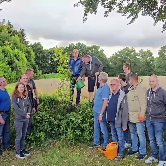 Baumpflanzchallange